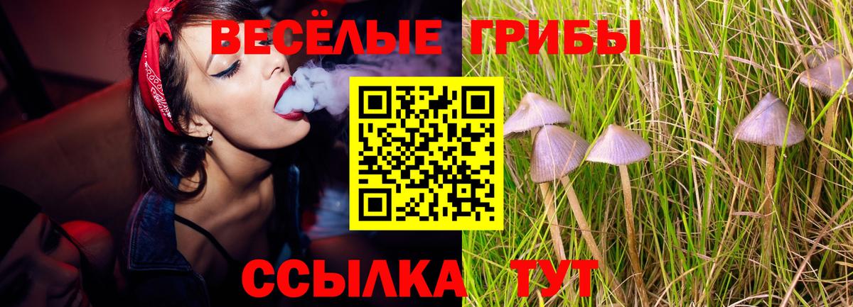 Галлюциногенные грибы мухоморы Севастополь