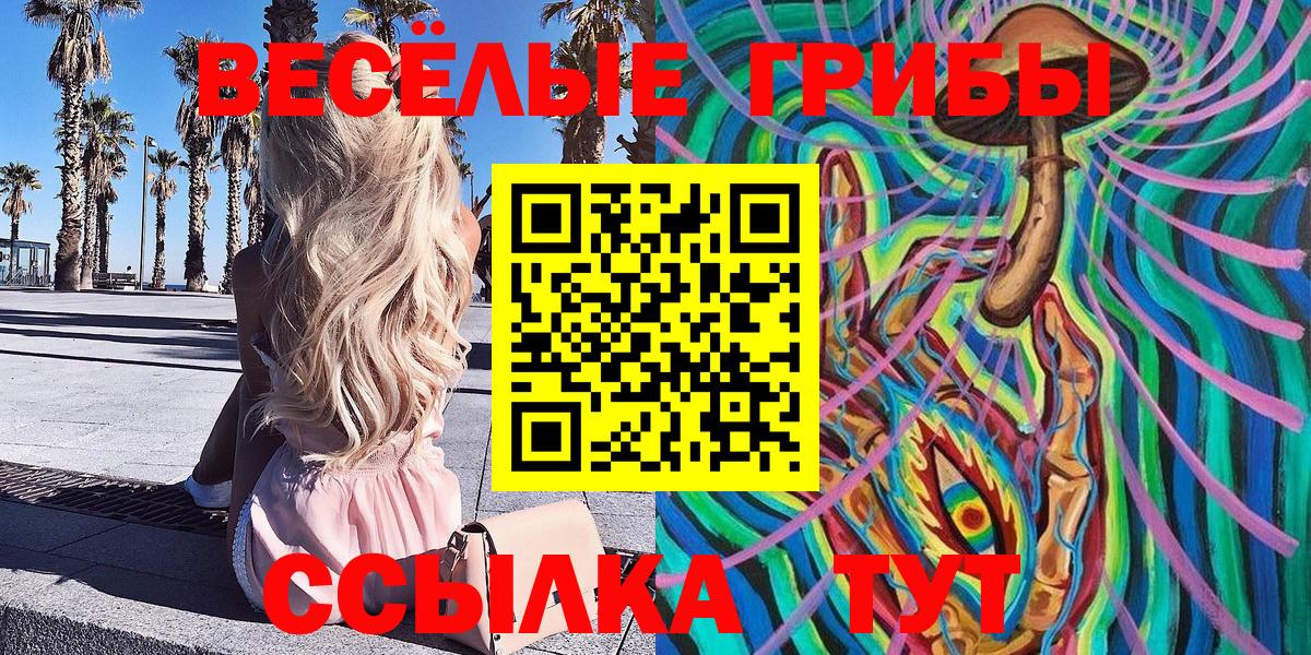 Севастополь  Галлюциногенные грибы мухоморы  Галлюциногенные грибы Psilocybe  Вход с VPN 