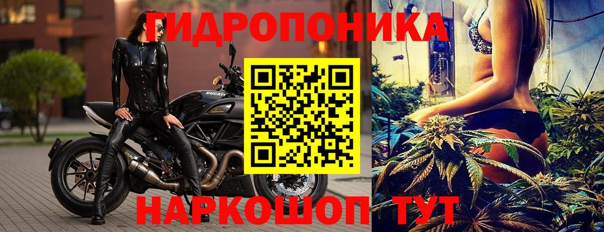Конопля планчик Севастополь